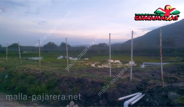 Granja de piscicultura, protegida con malla pajarera para evitar daño por aves