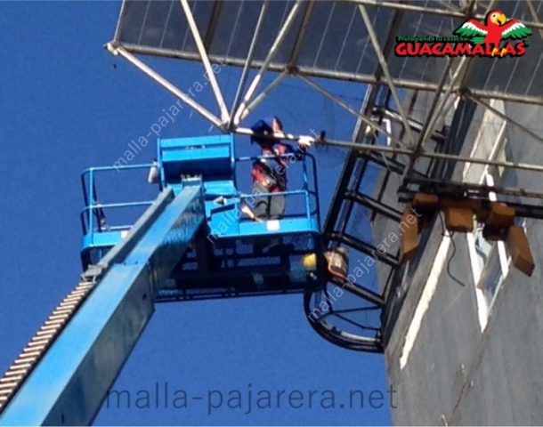 Instalación de malla pajarera en gran altura con ayuda de equipo especializado, equipo de escalada, arneses y grúas