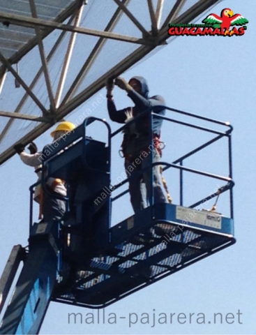 Instalación de protección anti aves con malla pajarera en techo de edificio público, con ayuda de grúa