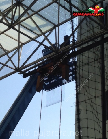 Malla pajarera siendo instalada con ayuda de grúa en partes altas de un edificio público para impedir el daño por aves problemáticas